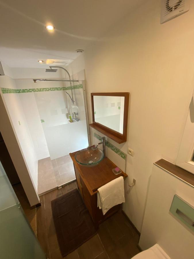 Charmant Duplex Talence Cocooning 波尔多 外观 照片