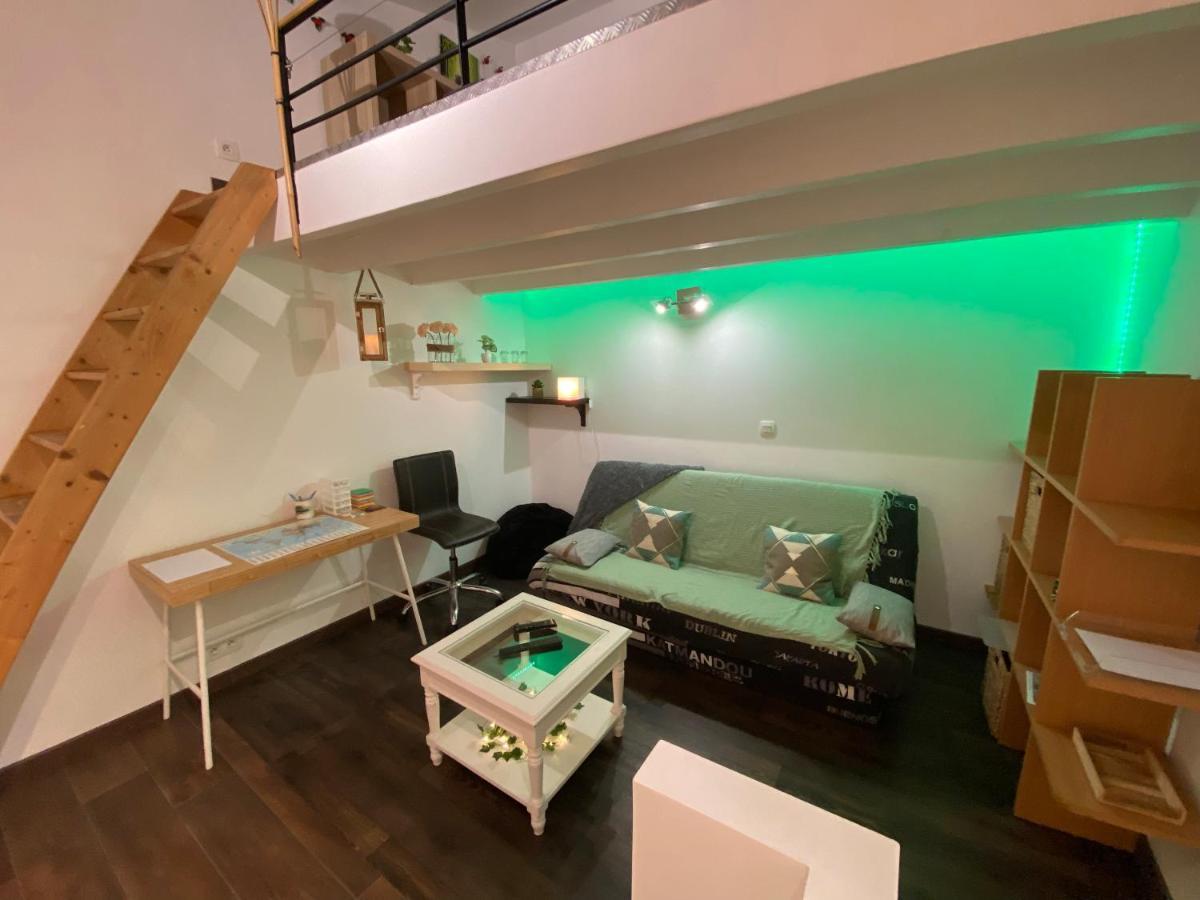 Charmant Duplex Talence Cocooning 波尔多 外观 照片